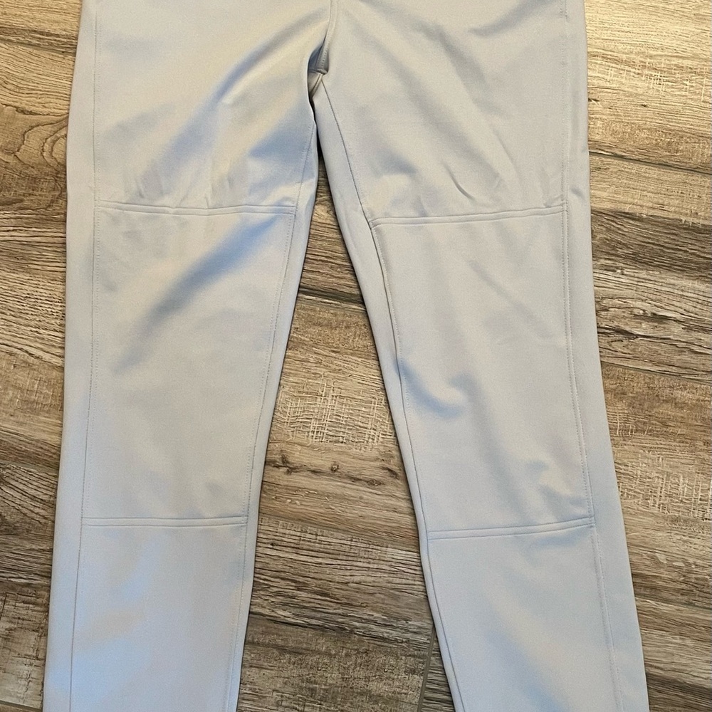 Mizuno Men's baseball pants